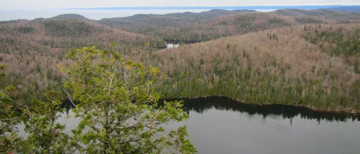 peat mountain trail lspp